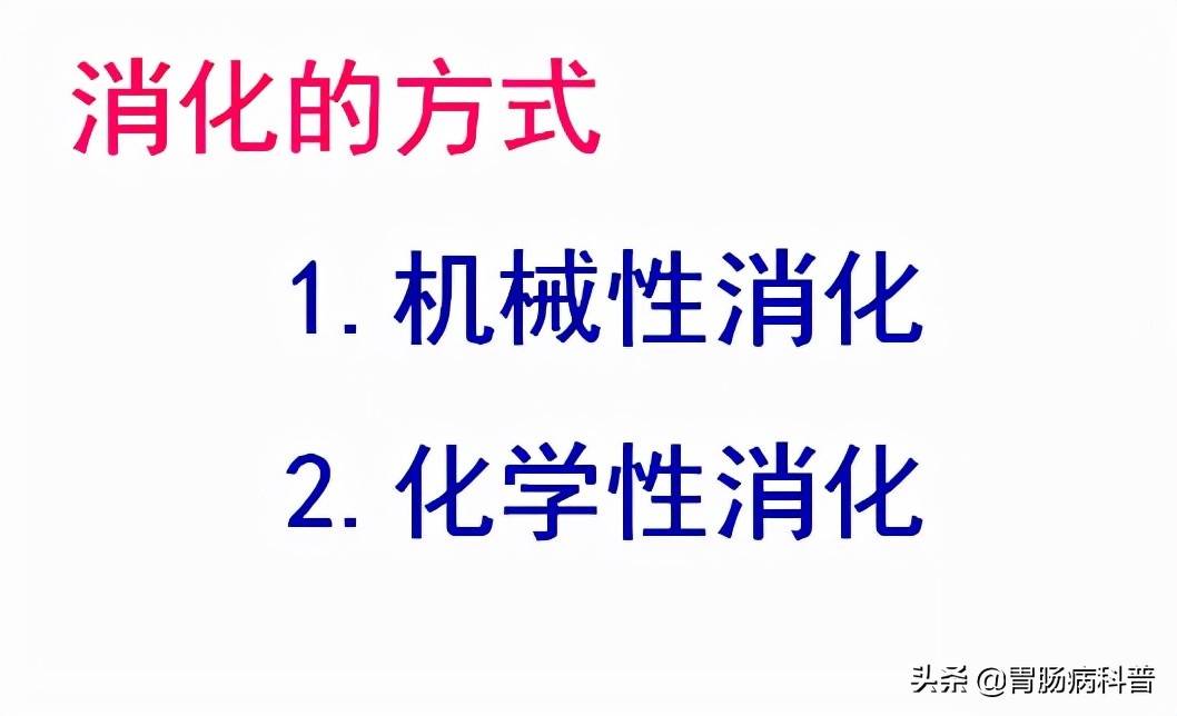 高清大图——消化系统结构与功能，一文轻松搞定