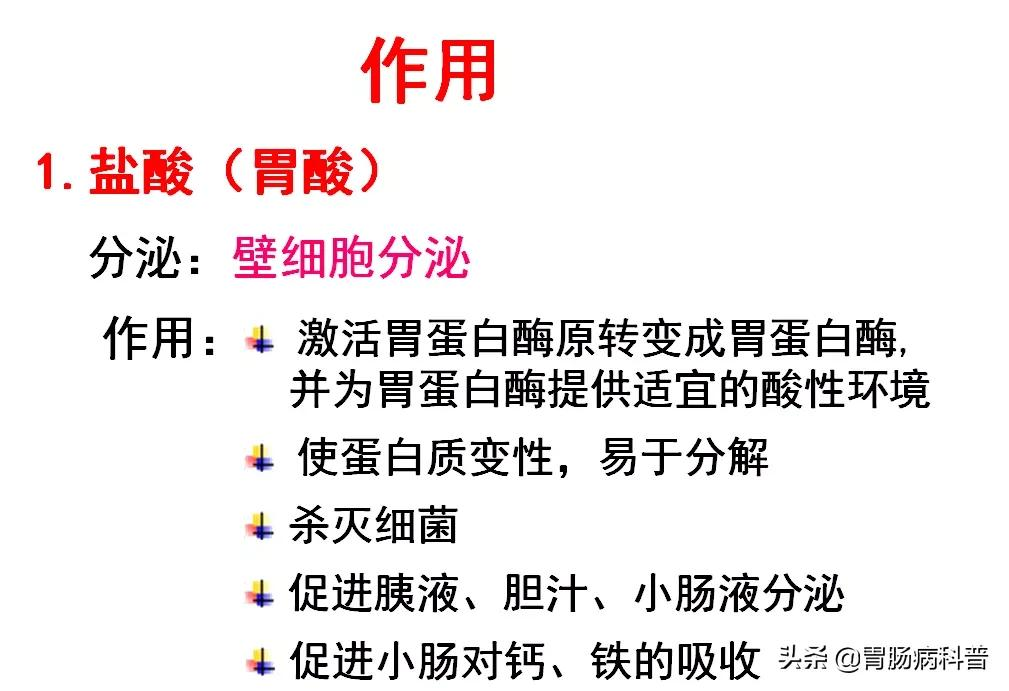 高清大图——消化系统结构与功能，一文轻松搞定