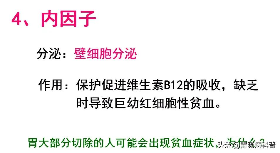 高清大图——消化系统结构与功能，一文轻松搞定