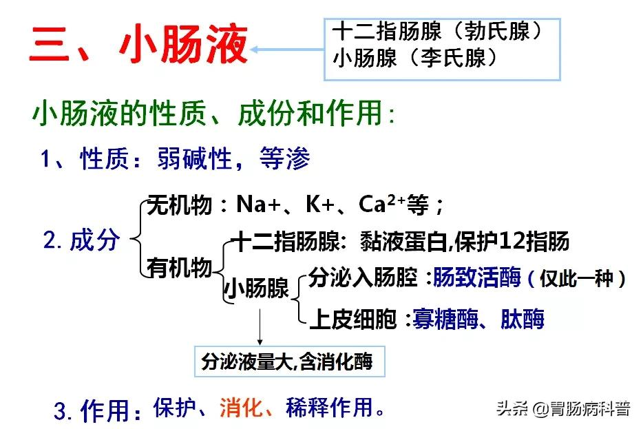 高清大图——消化系统结构与功能，一文轻松搞定