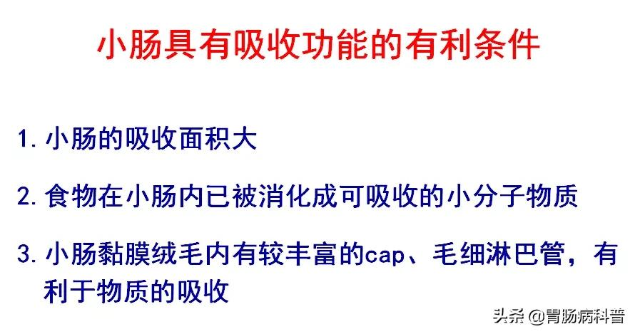 高清大图——消化系统结构与功能，一文轻松搞定