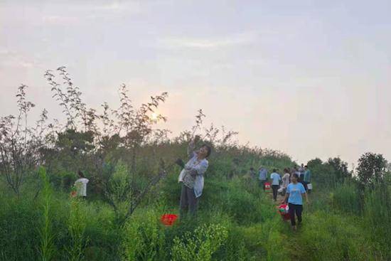 南阳市方城县柳河镇：小小花椒粒 做出大文章