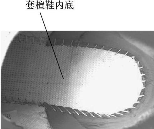 运动鞋的鞋底主要由大底、中底和内底三部分构成的吗？