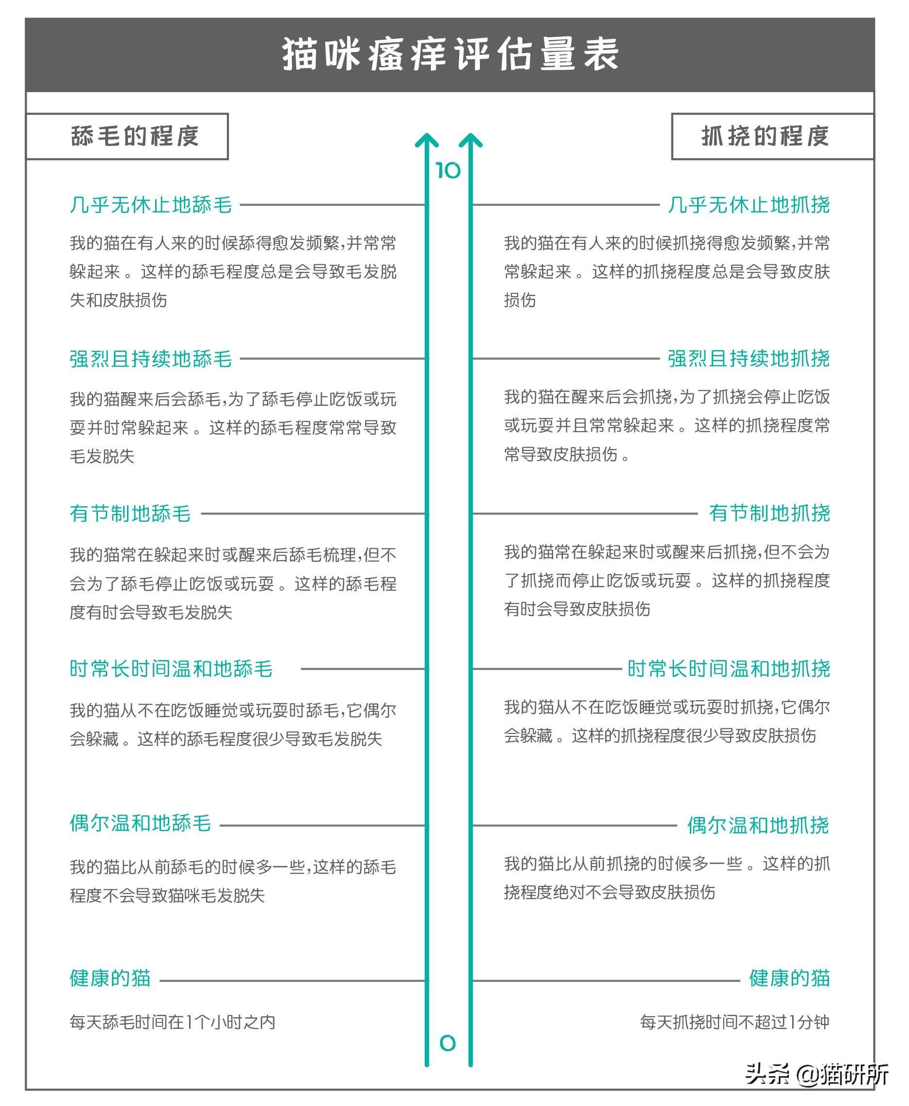 猫咪总爱挠痒痒？警惕这5种健康问题