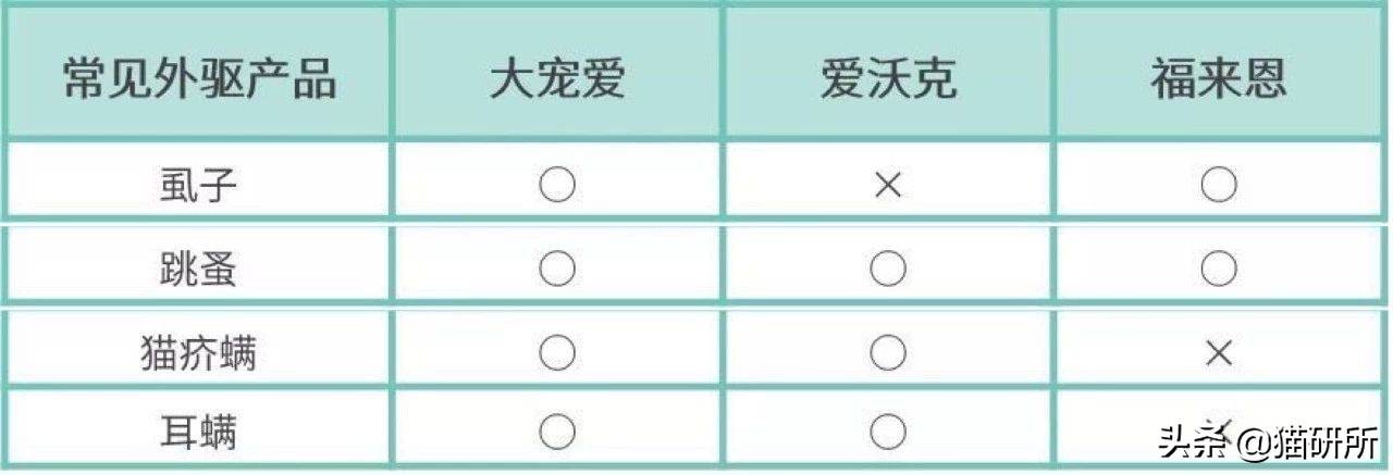 猫咪总爱挠痒痒？警惕这5种健康问题