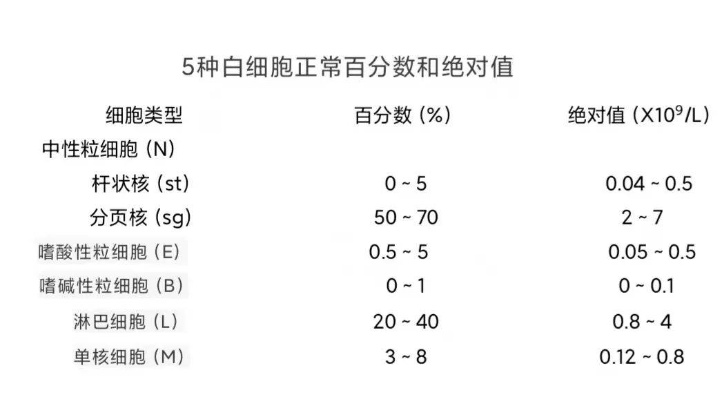 读懂体检单丨最便宜的检查，竟然能查这么多毛病