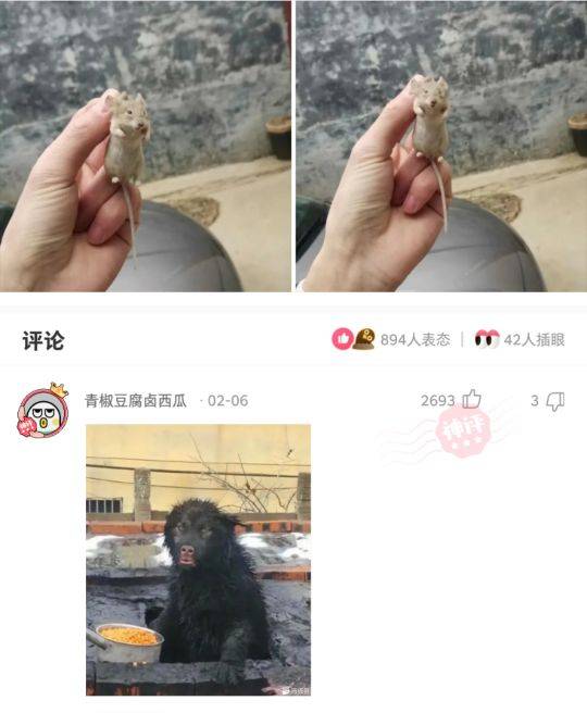 神回复吃蘑菇需要注意点什么