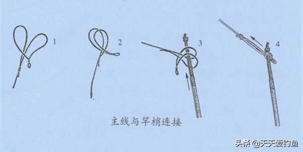 马蹄扣跟竿稍小辫的链接方法如下图,其实是活扣的一种