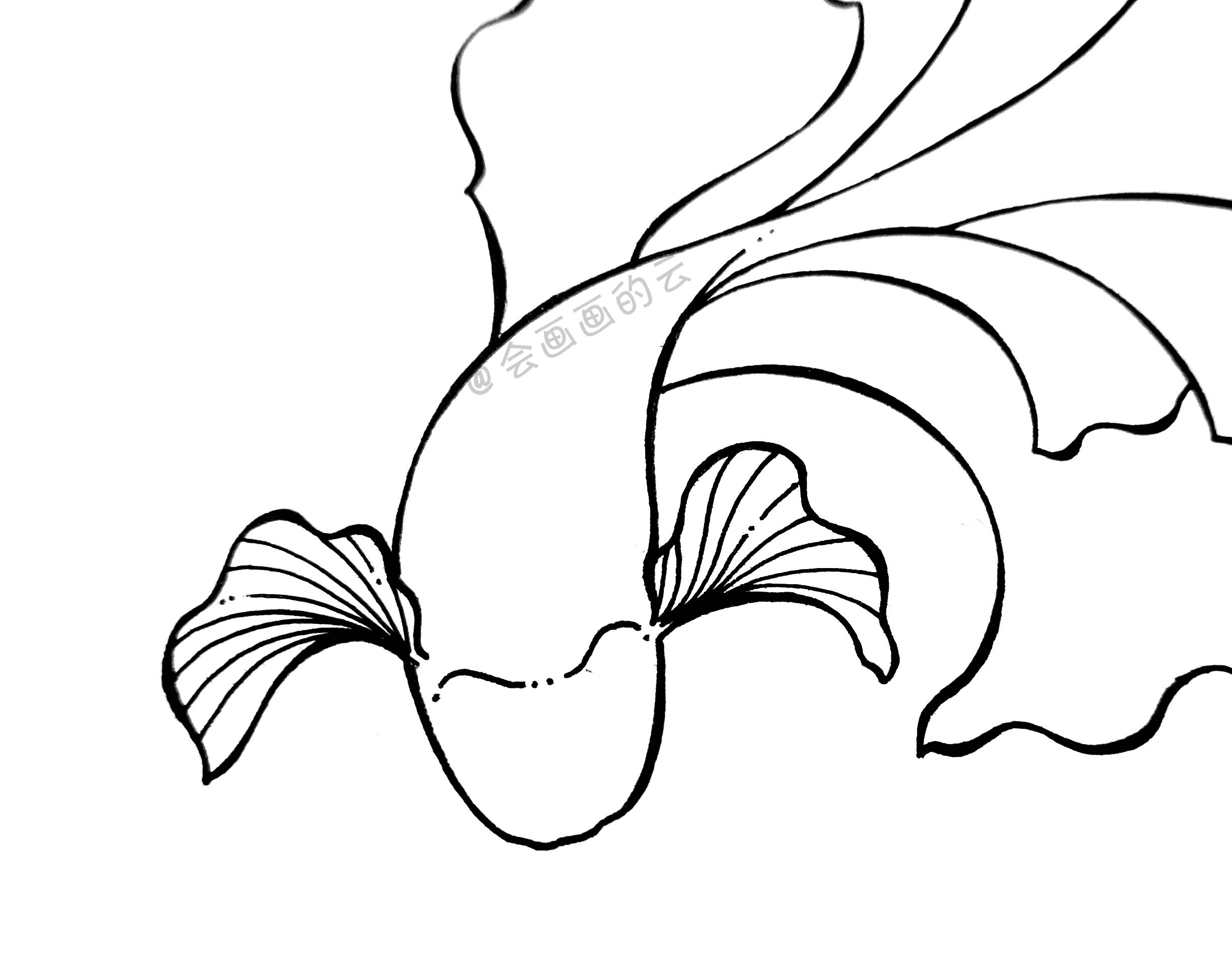 鱼怎样画简单画法图片