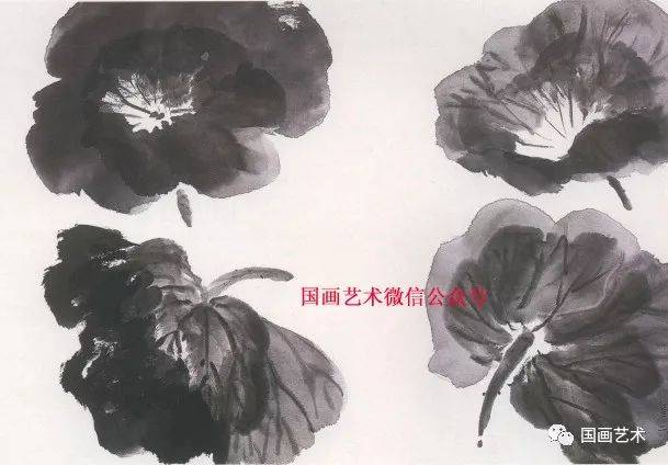 国画大师图文教程：写意荷花画法教学辅导，荷花荷叶各类画法详解