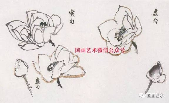 国画大师图文教程:写意荷花画法教学辅导,荷花荷叶各类画法详解