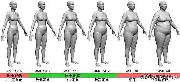 成年人的标准体重对比数据，看看你的身高体重指数是多少